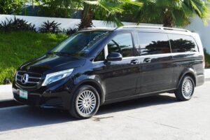 Adapted Transportation From/To Montego Bay International Airport - Price and Value: How $131.62 per Group Stacks Up
