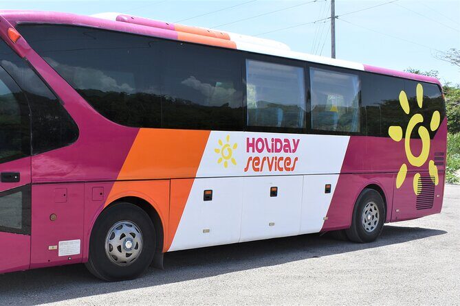 Airport Shuttle from Montego Bay (MBJ) to Hotel - Drivers and Staff: What You’ll Notice in the Best-Case Scenario