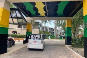 Airport Transfer To Negril - Finding Your Driver Fast: The Name Sign Trick