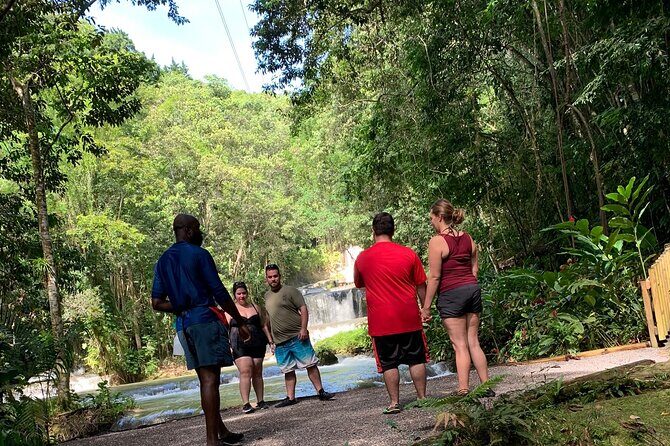 Appleton estate,YS Falls,Black River Safari,Pelican Bar(any 3of4) - A Private Morning Through Jamaica’s Interior (With Real Pickup Time)