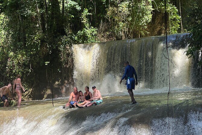 Appleton estate,YS Falls,Black River Safari,Pelican Bar(any 3of4) - Price and Value: What $180 Actually Covers (and What It Doesn’t)