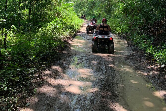 ATV Jungle Safari Tour from Montego Bay - Should You Book This Montego Bay ATV Jungle Safari?