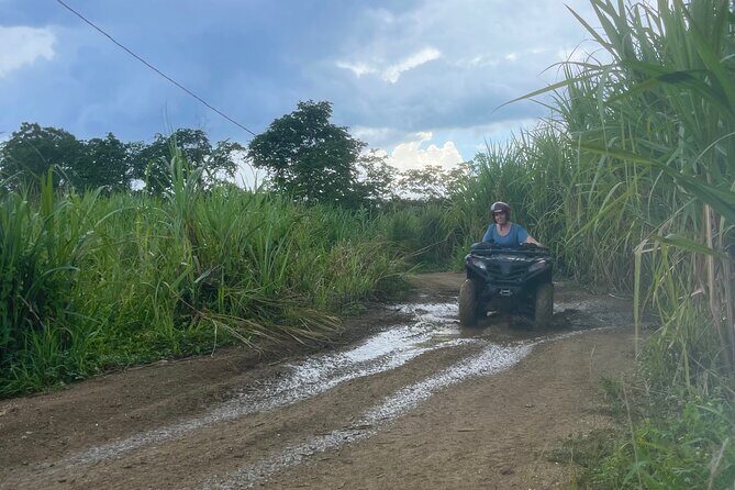 ATV, Zipline, Horseback, Bamboo Rafting and Rick’s Cafe - Bamboo Rafting: Your Calmer Reset on the Water