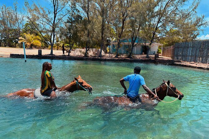 Bamboo Rafting & Horseback Ride n Swim Guided Tour In Montego Bay - Price and Logistics: Does $145 Feel Like Good Value?