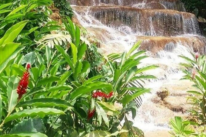 Blue Hole And Konoko Falls Combo Tour From Ocho Rios & Runaway Bay! - Getting Picked Up in Ocho Rios (and Why It Feels Easier)