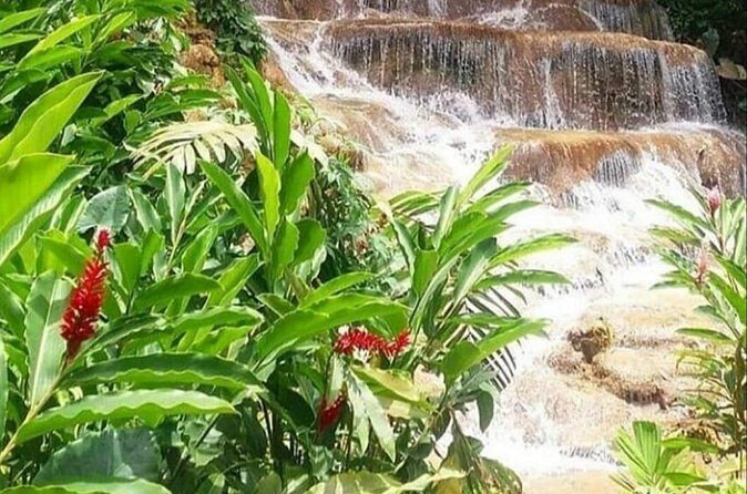 Blue Hole And Konoko Falls Combo Tour From Ocho Rios & Runaway Bay! - Stop 2: Konoko Falls Park and Native River Gardens