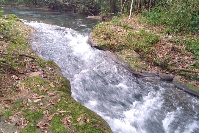 Blue Hole and River Tubing Combo from Ocho Rios - White River tubing: relaxed floating with just enough excitement