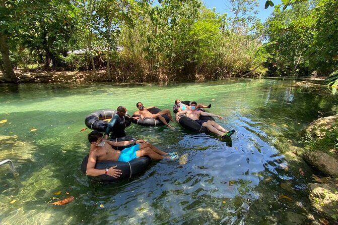 Blue Hole and River Tubing Combo Tour from Ocho Rios - Fern Gully: the plant-spotting drive you’ll actually remember