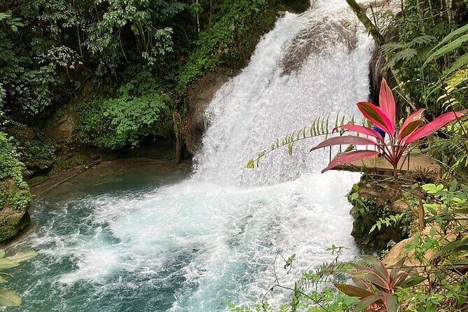 Blue Hole From Ocho Rios - Cliff Jumping and the Tarzan Swing: Choose Your Comfort Level