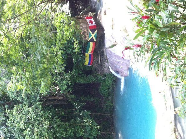 Blue Hole & Jamaica Sightseen Tour Included Transportation - Who should book this Blue Hole and Secret Falls tour