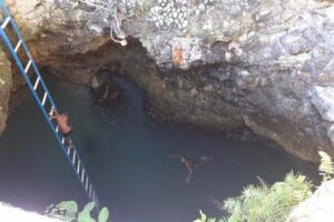Blue Hole Mineral Spring and Ricks Cafe Private Tour - Blue Hole Mineral Spring: where you can swim, watch, and snack