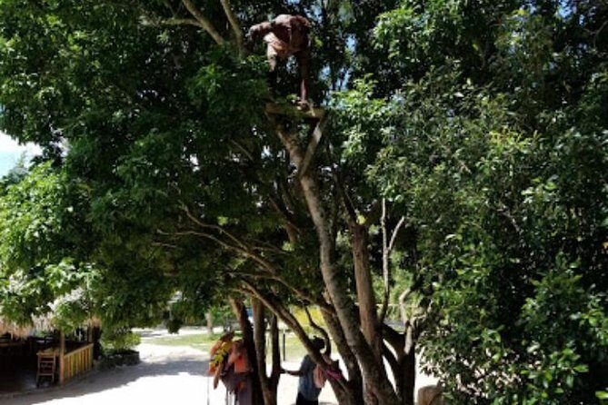 Blue Hole Mineral Spring and Ricks Cafe Private Tour - Should you book this Blue Hole and Rick’s Cafe private tour?