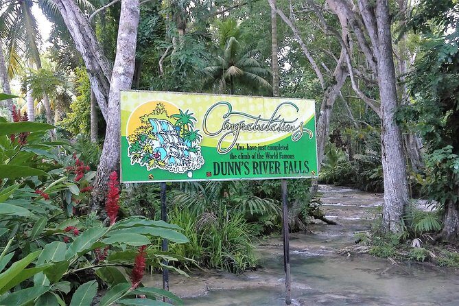 Blue Hole plus Secret Falls and Dunns River Falls Combo from Runaway Bay Hotels - Stop 1: Blue Hole mineral pool fun, cave swims, and rope swings