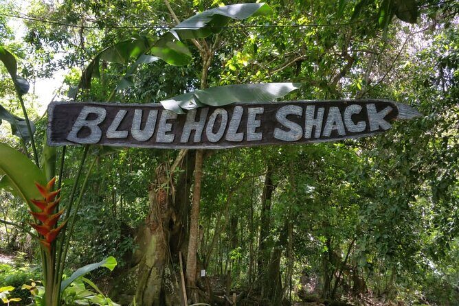 Blue Hole/Secert falls and Dunns River Combo Tour - Secret Falls Factor: Splashing Time, Not a Hurry-Through