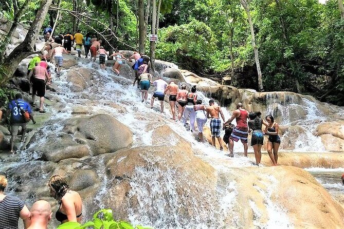 Blue Hole, Secret Falls, and Dunn's River Falls Combo Day-Trip - From Montego Bay to Ocho Rios: how the full day actually works