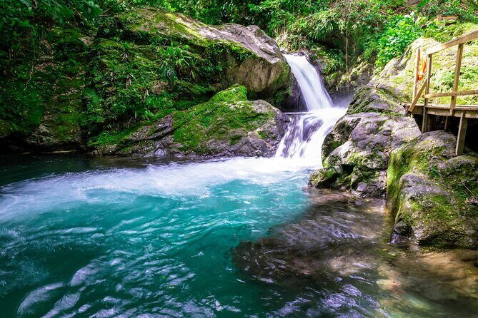 Blue Mountain Bicycle Tour - Getting Up Into the Blue Mountains from Ocho Rios