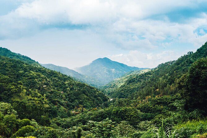 Blue Mountain Bicycle Tour - The Downhill Bike Ride: Relaxed Pace, Real Roads