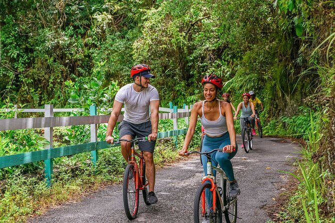 Blue Mountain Bicycle Tour - Price and Logistics: What $144.84 Really Buys You