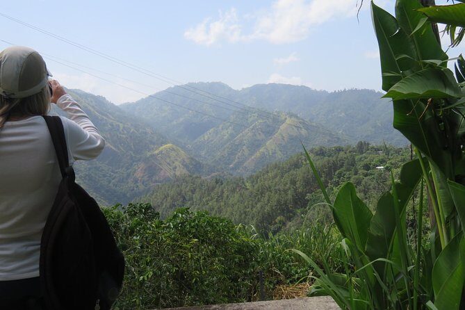 Blue Mountain Path Finder - Who should book this coffee day trip