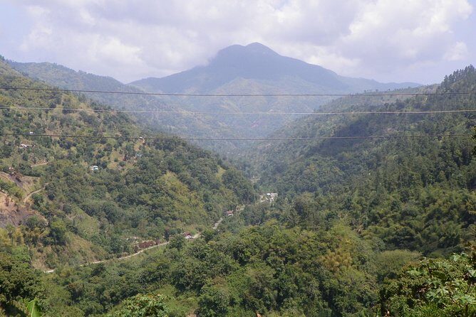 Blue Mountain Tour with Hotel Transportation - Quick Take: Key Things You’ll Notice