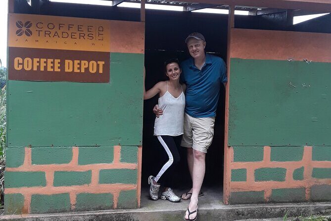 Blue Mountain Tour with Hotel Transportation - The 8:00 AM Hotel Pickup and the Long North Coast Drive