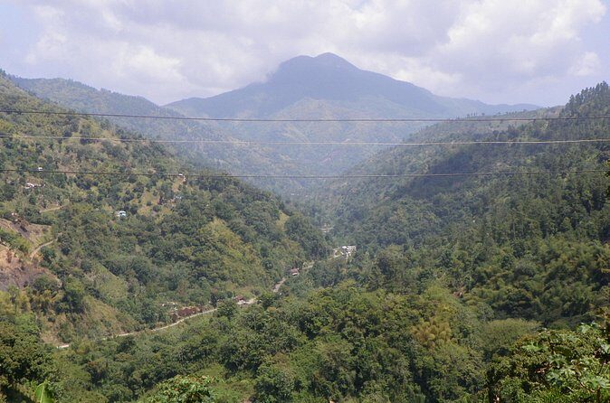 Blue Mountain Tour with Hotel Transportation - Rio Nuevo and Port Maria: Two History Stops Worth the Time