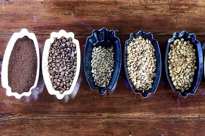 Blue Mountains Coffee Private Tour from Kingston - Key highlights you’ll feel immediately