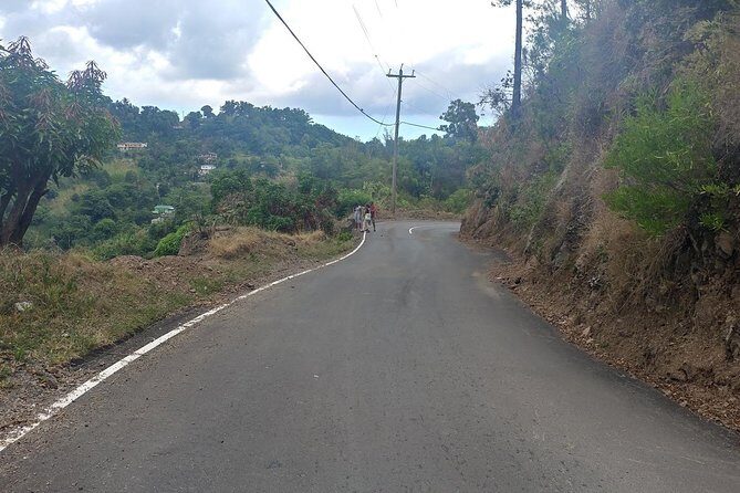 Blue Mountains Coffee Private Tour from Kingston - Price and value check: what $180 per person really buys