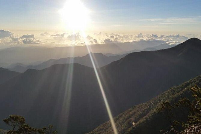 Blue Mountains Peak Hike - Riding Up in a Private Jeep: Off-Road Comfort and Safety Reality