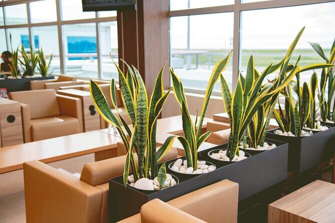 Club Mobay Sangster Airport VIP Lounge with Priority Entry - Who This Is Best For