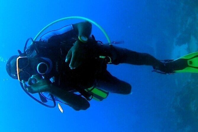 Discover Scuba Diving in Montego Bay-ONE Tank (First time Diving) - Price and value: is $169.99 a fair deal for your first time?