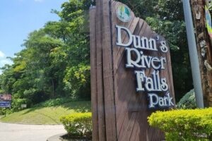 Dunn's River Falls - Private pickup and the 7-seat minivan: how the day stays easy