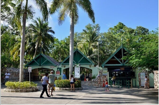 Dunn's River Falls - Who this private tour fits best