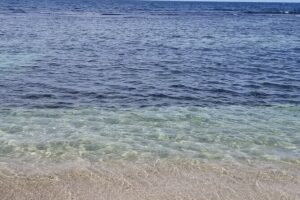 Dunn's River Falls and Blue Hole Combo Tour From Ocho Rios & Runaway Bay - Price and what you’re really paying for ($94.77 per person)