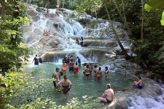 Dunn's River Falls and Jamaica Sightseeing Private Tour - Key highlights worth aiming for