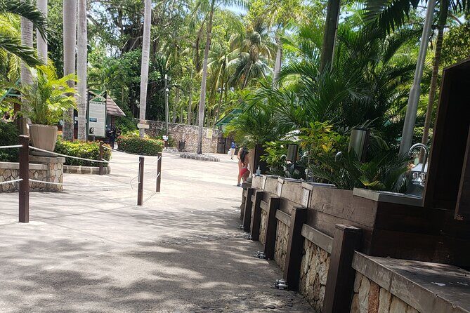 Dunn's River Falls & Blue Hole Tour from Montego Bay - Montego Bay To Waterfall Country: The Real Value Of This Transfer