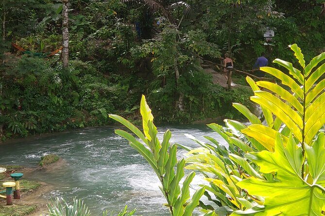 Dunn's River Falls & Blue Hole Tour from Montego Bay - Transportation Comfort: Private Ride, Air-Conditioning, and Real Safety