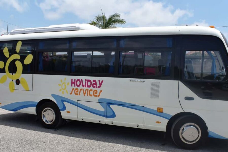 Dunn's River Falls, Bob Marley 9 Mile - Optional Lagoon Tour - Price and Time: Does $149 Feel Worth It?
