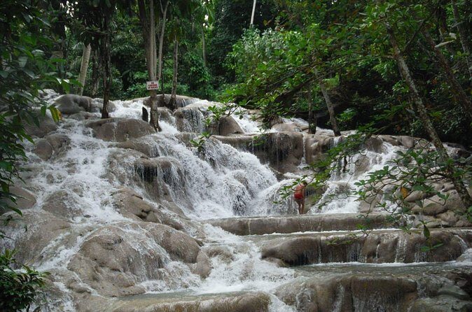 Dunn's River Falls from Ocho Rios - Swim and base-area relax: the part that feels like a reward