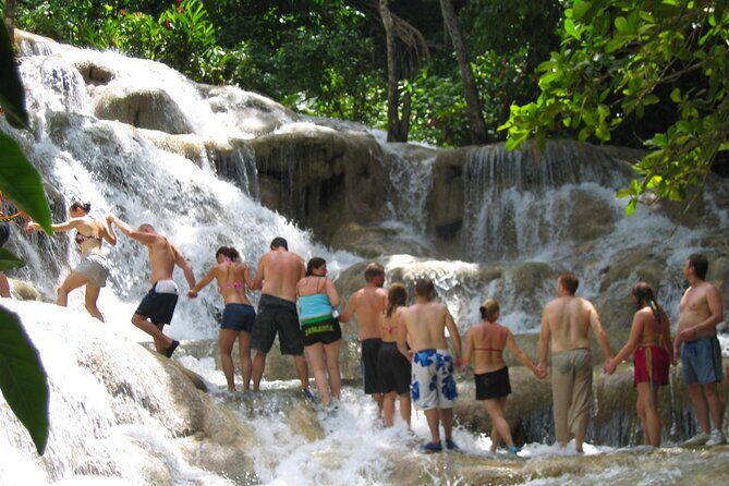 Dunn's River Falls & Luminous Lagoon Guided Tour from Montego Bay - How the day fits together from Montego Bay