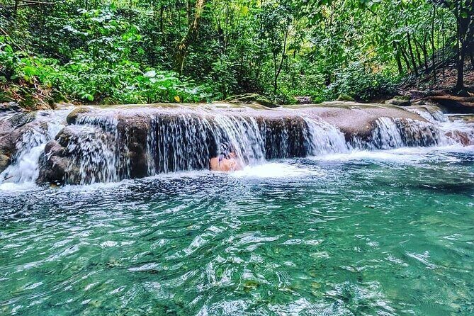 Dunn's River Falls & Luminous Lagoon Guided Tour from Montego Bay - Value check: does $145 really make sense?