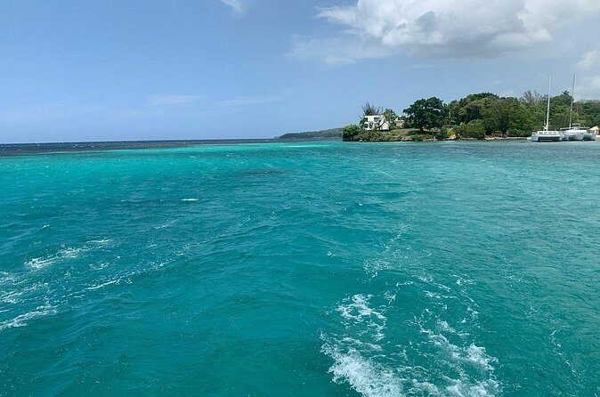 Dunn's River Falls Party Cruise, Blue Hole with Snorkeling, free beverages - Dock to Dunn’s River Falls: the climb that tests your legs and your grip