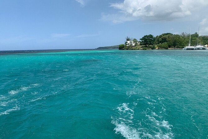 Dunn's River Falls Party Cruise, Blue Hole with Snorkeling, free beverages - What the tour includes (and what it doesn’t)