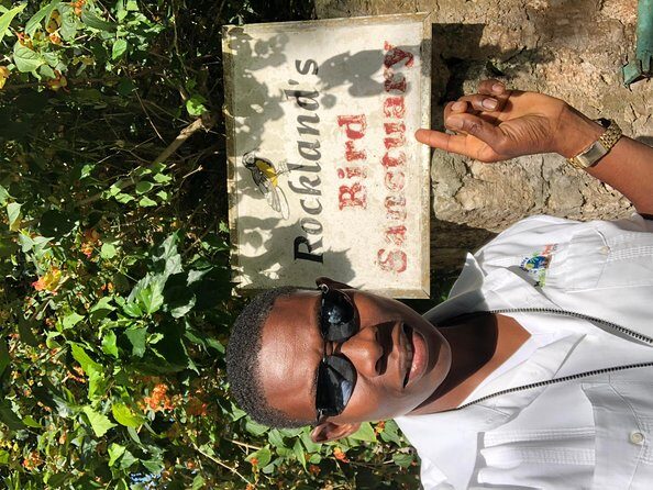 Explore Montego Bay Private Highlight Tour from Montego Bay - Where this tour shines (and where it might disappoint)
