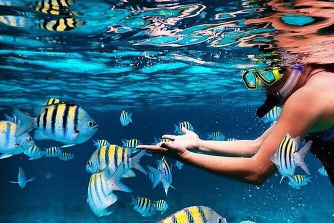 Family Fun-Snorkeling with Lunch Stop from Montego Bay - Montego Bay Snorkeling With a Built-In Lunch Plan