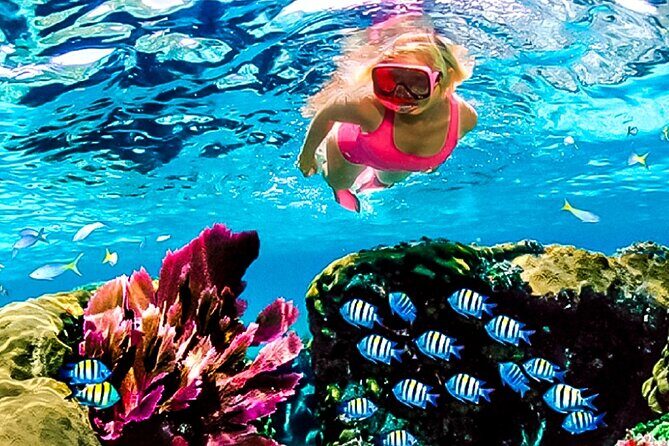 Family Fun-Snorkeling with Lunch Stop from Montego Bay - The Speedboat Ride: Short, Fun, and Purposeful