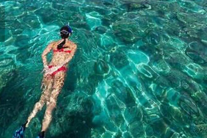 Family Fun-Snorkeling with Lunch Stop from Montego Bay - Lunch Stop and Early Dinner Choice: Food, Your Way