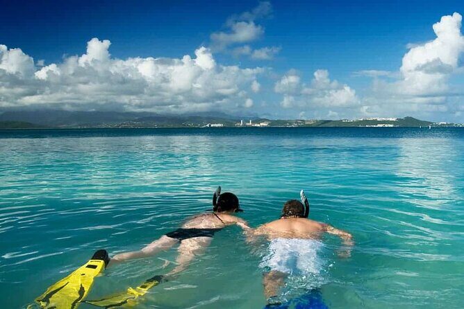 Family Fun-Snorkeling with Lunch Stop from Montego Bay - Transportation Quality: Drivers Like Wayne and the Importance of Smooth Handling