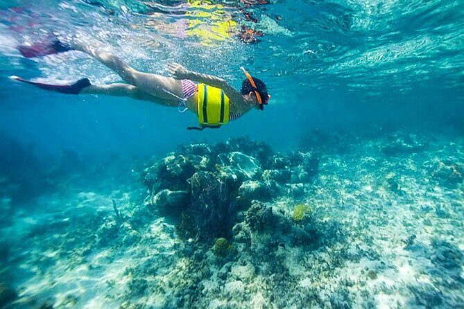 Family Fun-Snorkeling with Lunch Stop from Montego Bay - Who Should Book This Montego Bay Snorkeling Tour