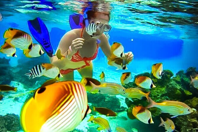 Family Fun-Snorkeling with Lunch Stop from Montego Bay - Pre-Departure Snorkel Lesson and Gear Setup